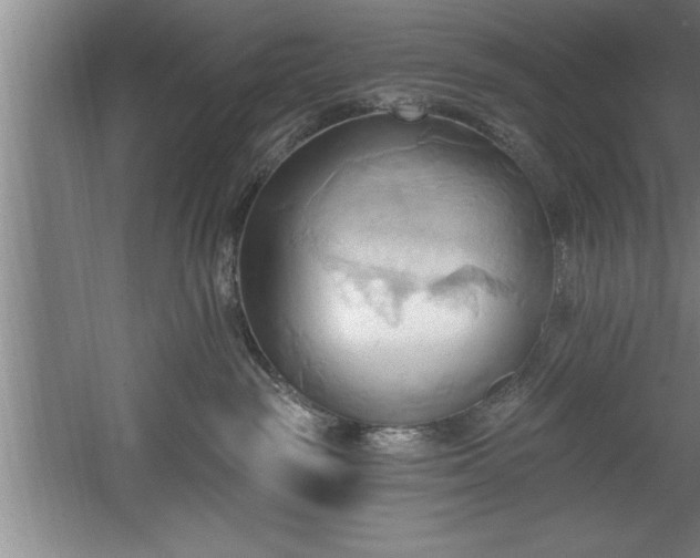 X0000060560189200511070957