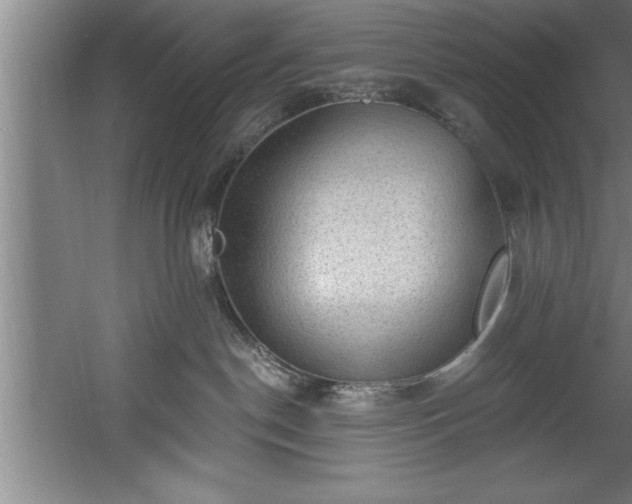 X0000060560190200511070957