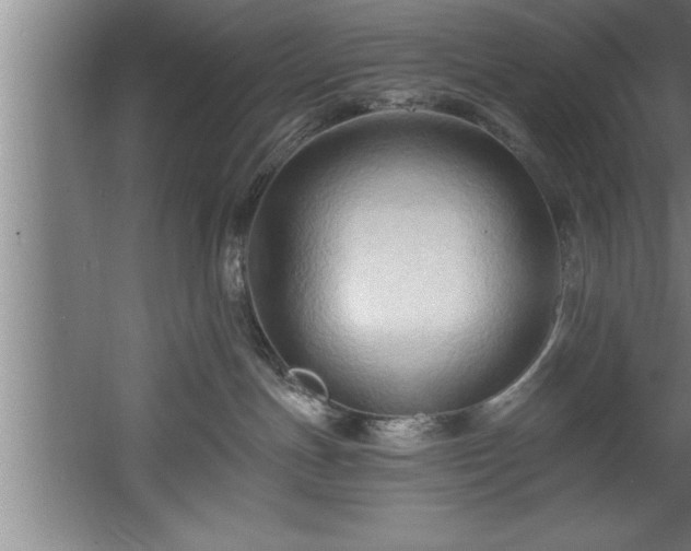 X0000060560191200511070957