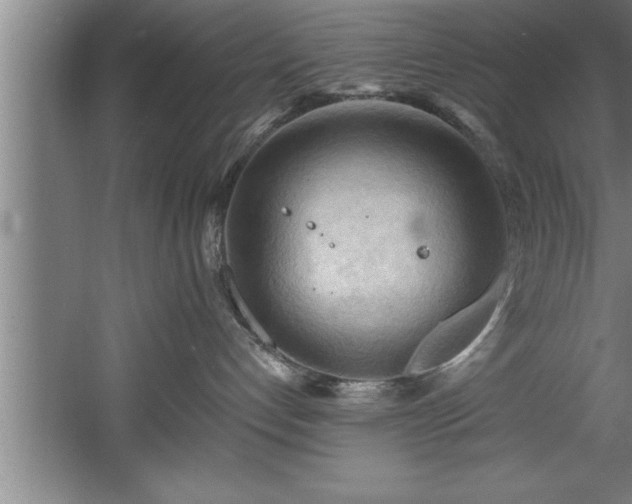 X0000060560192200511070957