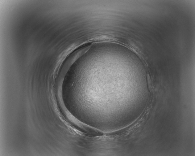 X0000060560193200511070957