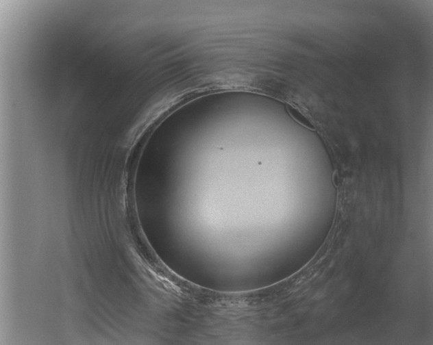 X0000060560194200511070957