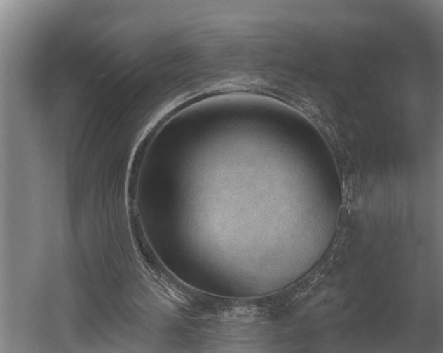 X0000060560196200511070957