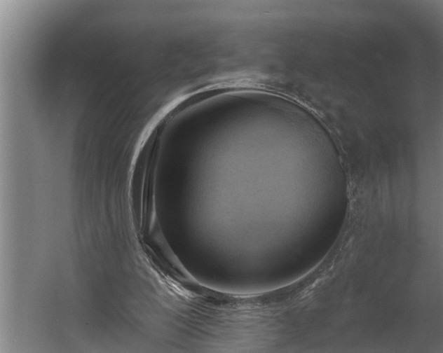 X0000060560200200511070957