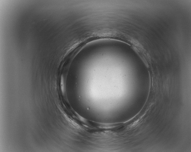 X0000060560201200511070957