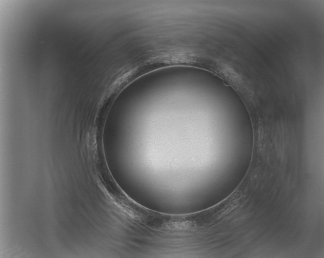 X0000060560202200511070956