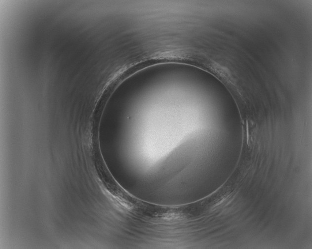 X0000060560204200511070956