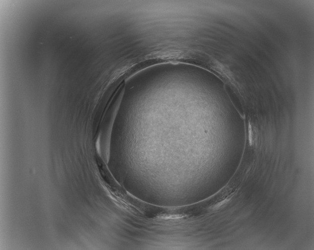 X0000060560205200511070956