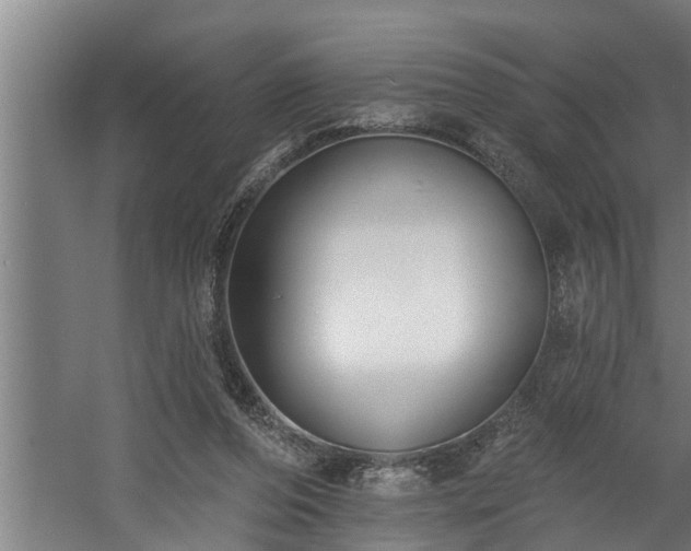 X0000060560208200511070956