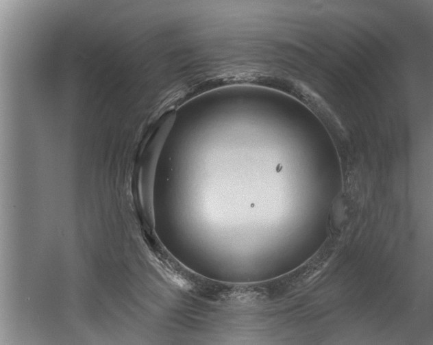 X0000060560209200511070956