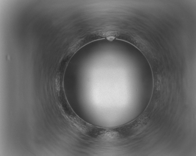 X0000060560210200511070956