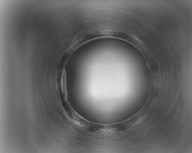 X0000060560213200511070956