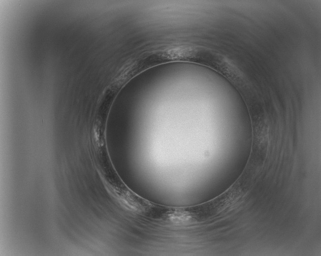 X0000060560214200511070956