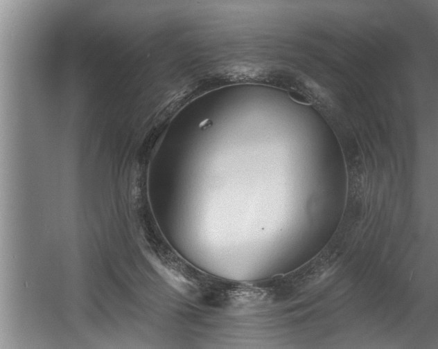 X0000060560215200511070956