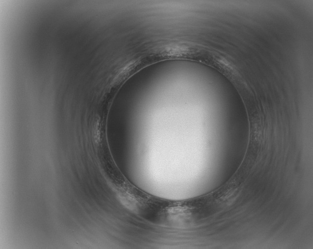 X0000060560216200511070956