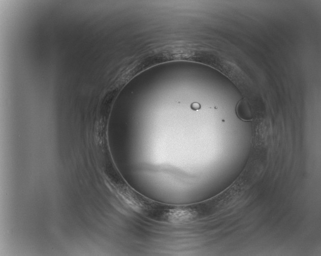 X0000060560218200511070956