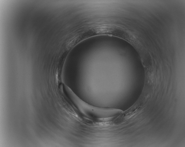 X0000060560219200511070956