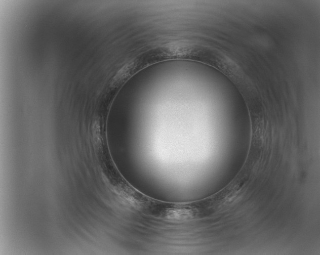 X0000060560220200511070956