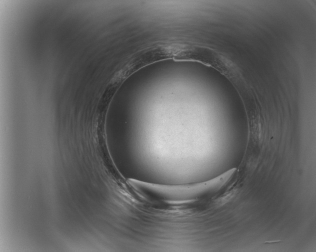 X0000060560221200511070956