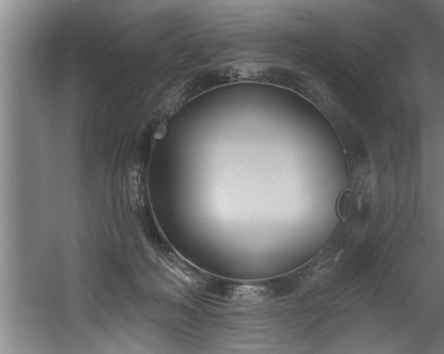 X0000060560222200511070956