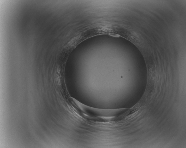 X0000060560223200511070956