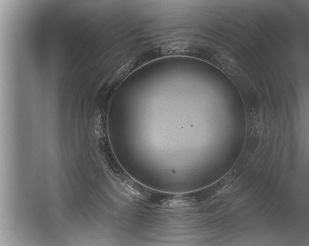 X0000060560224200511070956