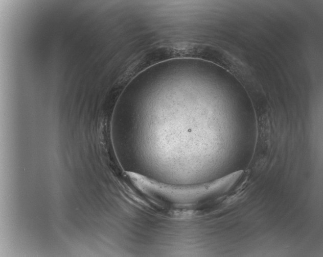 X0000060560225200511070956