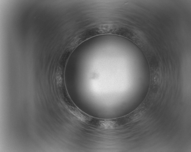 X0000060560226200511070956