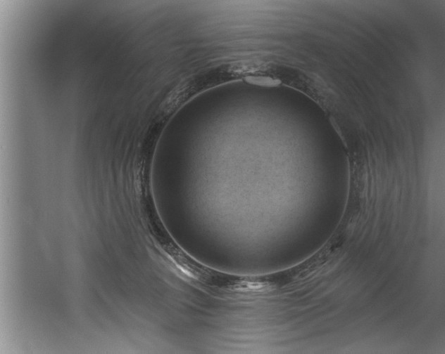 X0000060560227200511070956