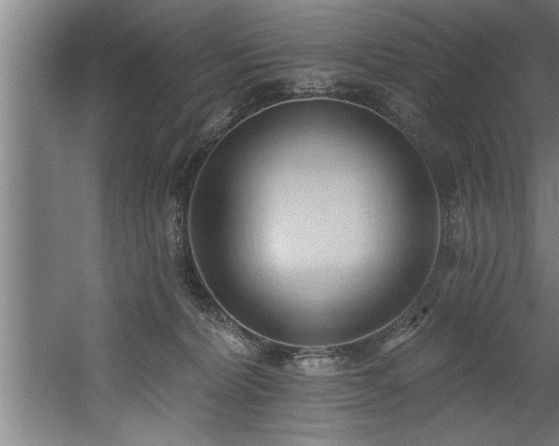 X0000060560228200511070956