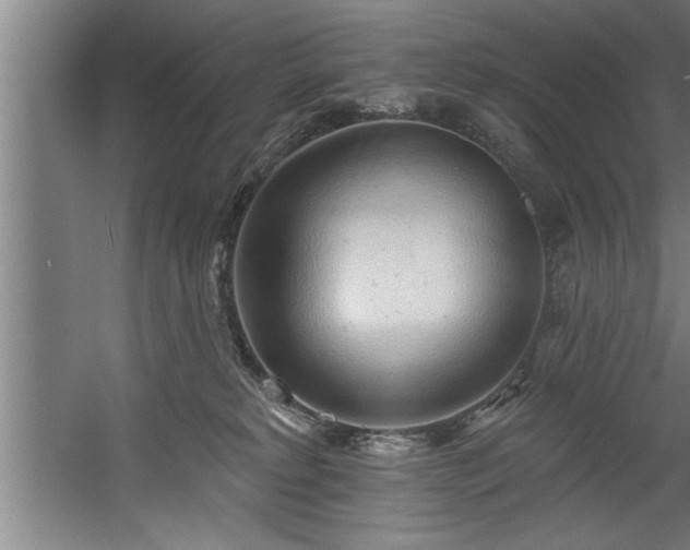 X0000060560229200511070956