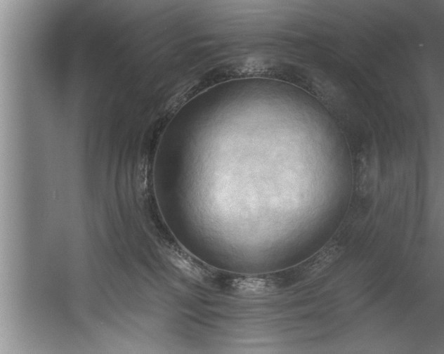 X0000060560230200511070956