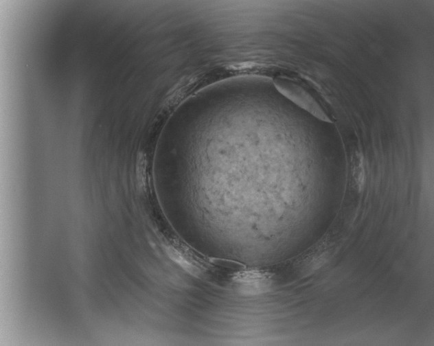 X0000060560231200511070956