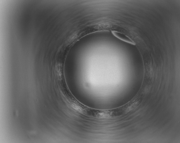 X0000060560232200511070956