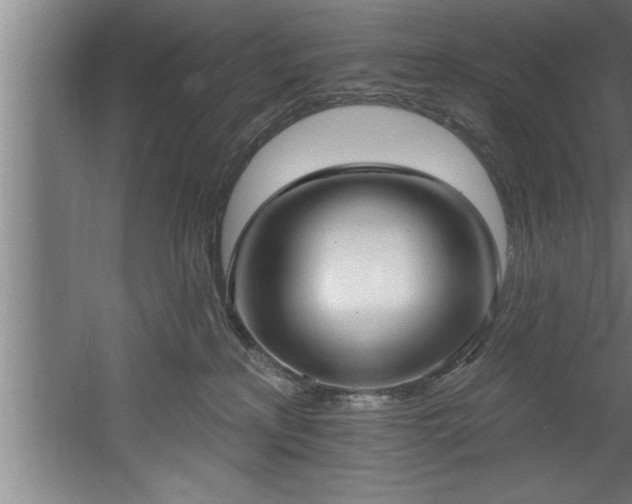 X0000060560233200511070956