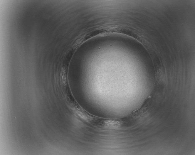 X0000060560234200511070956