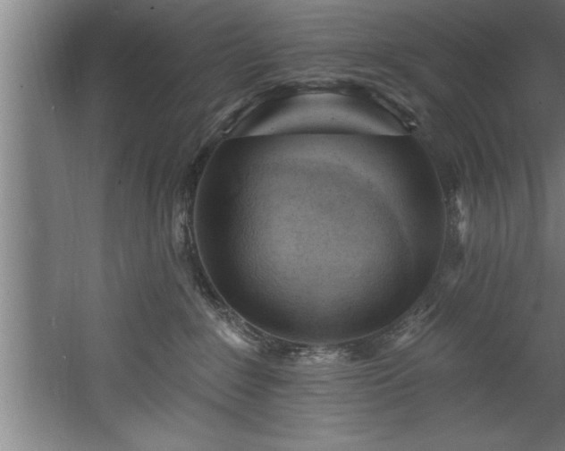 X0000060560235200511070956