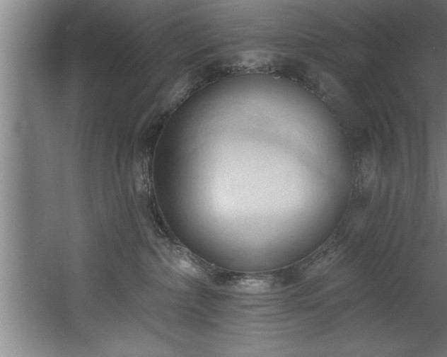 X0000060560236200511070956