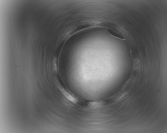 X0000060560238200511070956