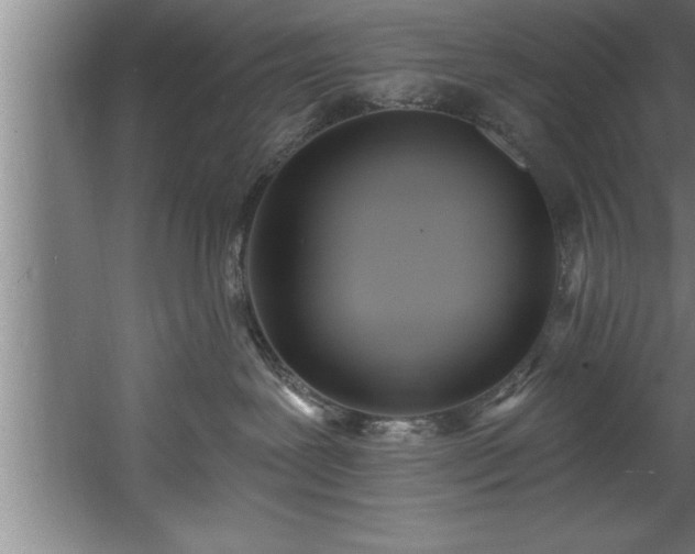 X0000060560239200511070956