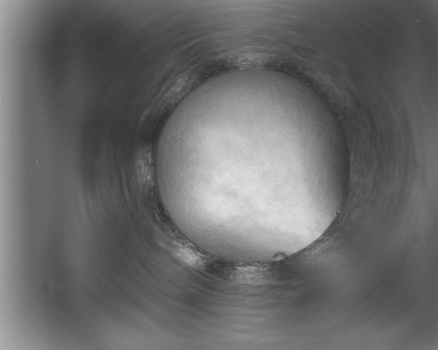 X0000060560240200511070956