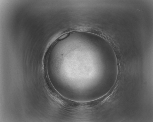 X0000060560246200511070955