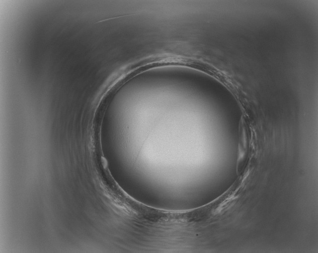 X0000060560247200511070955