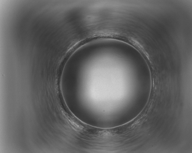 X0000060560249200511070955