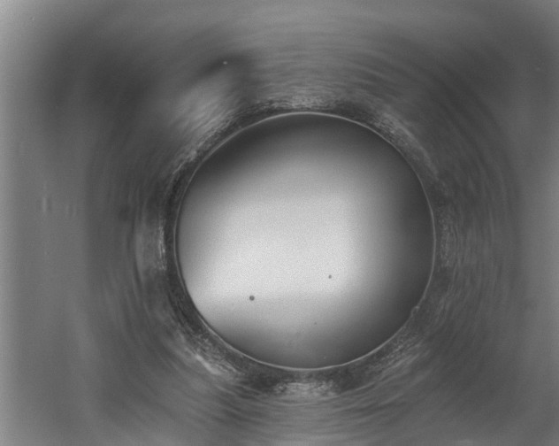 X0000060560251200511070955