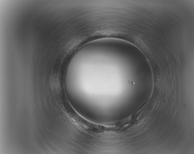 X0000060560256200511070955