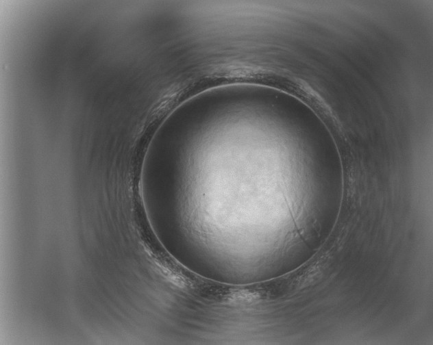 X0000060560257200511070955