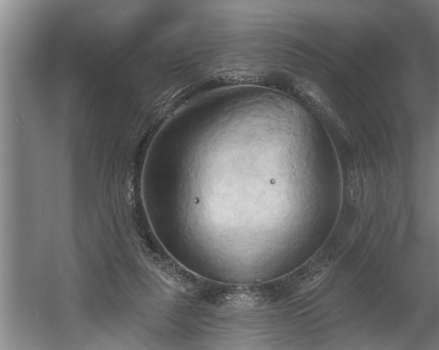 X0000060560259200511070955