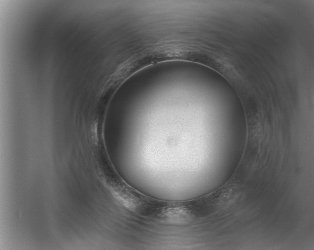 X0000060560262200511070955