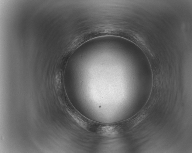 X0000060560265200511070955